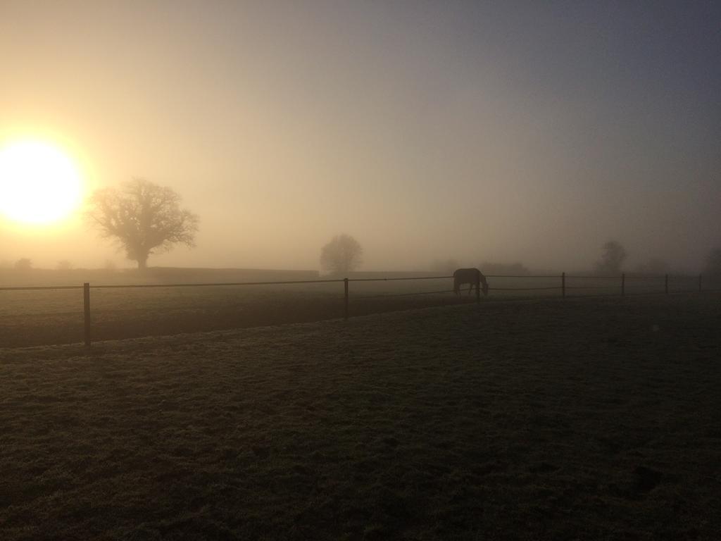 Great Ashley Farm Bed And Breakfast & Shepherds Huts Bradford-On-Avon ภายนอก รูปภาพ